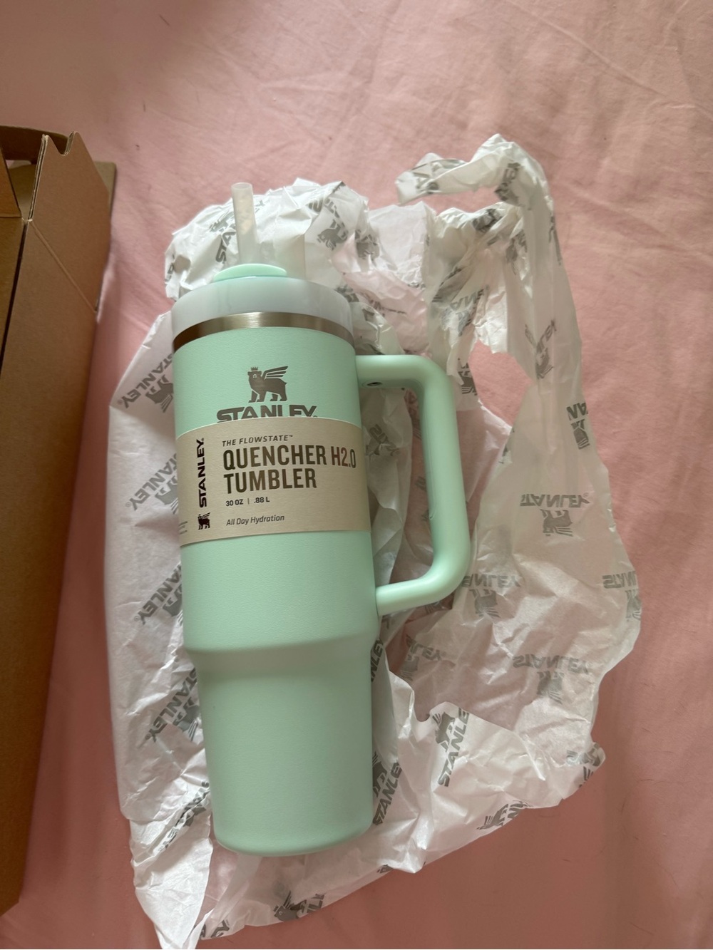 Stanley Mint Green 30 ounce Travel Tumbler with Handle and Straw